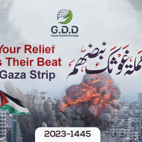 Gaza.. Your Relief is Their Beat