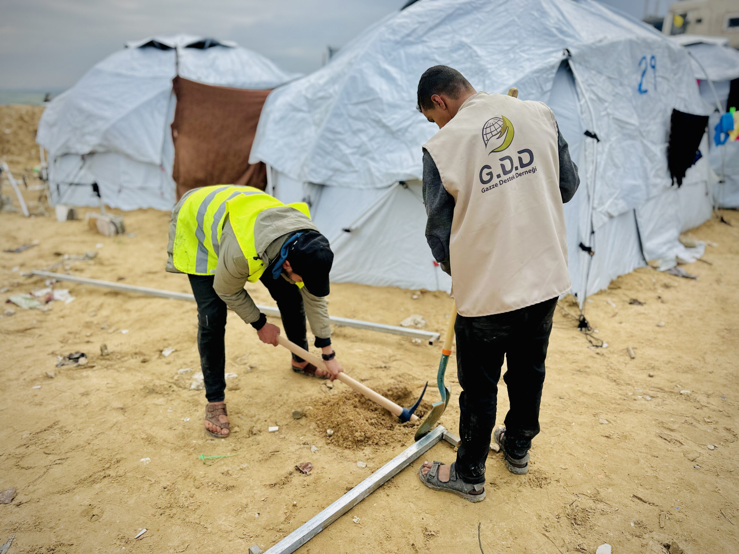 ٢٠٢٥_٠٢_٢٤_١٣_١٧_IMG_0292