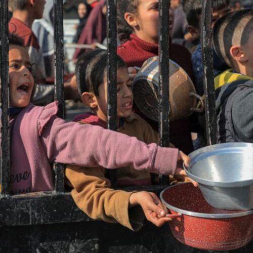 Gaza Is Suffocating Under Siege… Famine Knocks on Every Door!