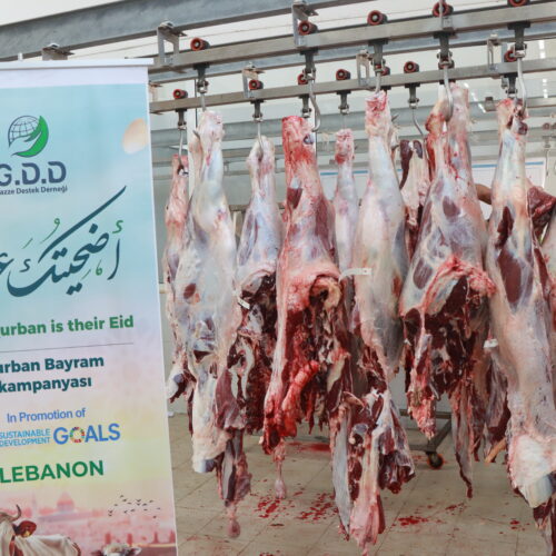 Your Qurban is Their Eid in Lebanon