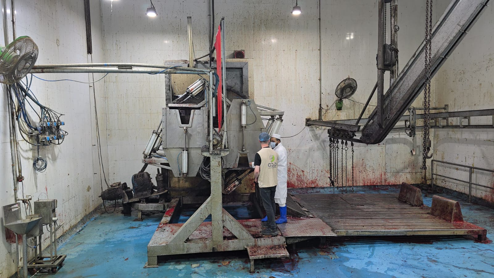 WhatsApp Image 2025-06-05 at 6.27.50 PM