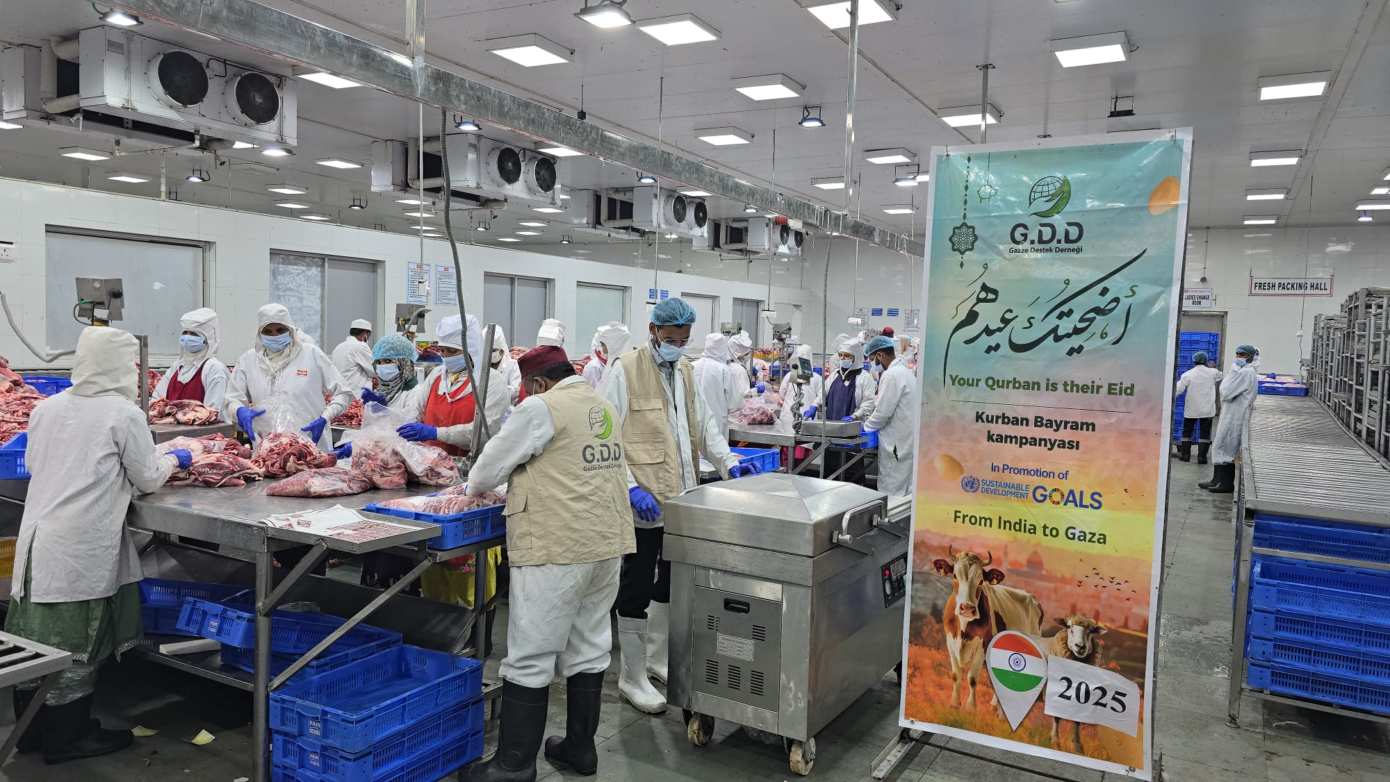 WhatsApp Image 2025-06-07 at 3.59.03 PM