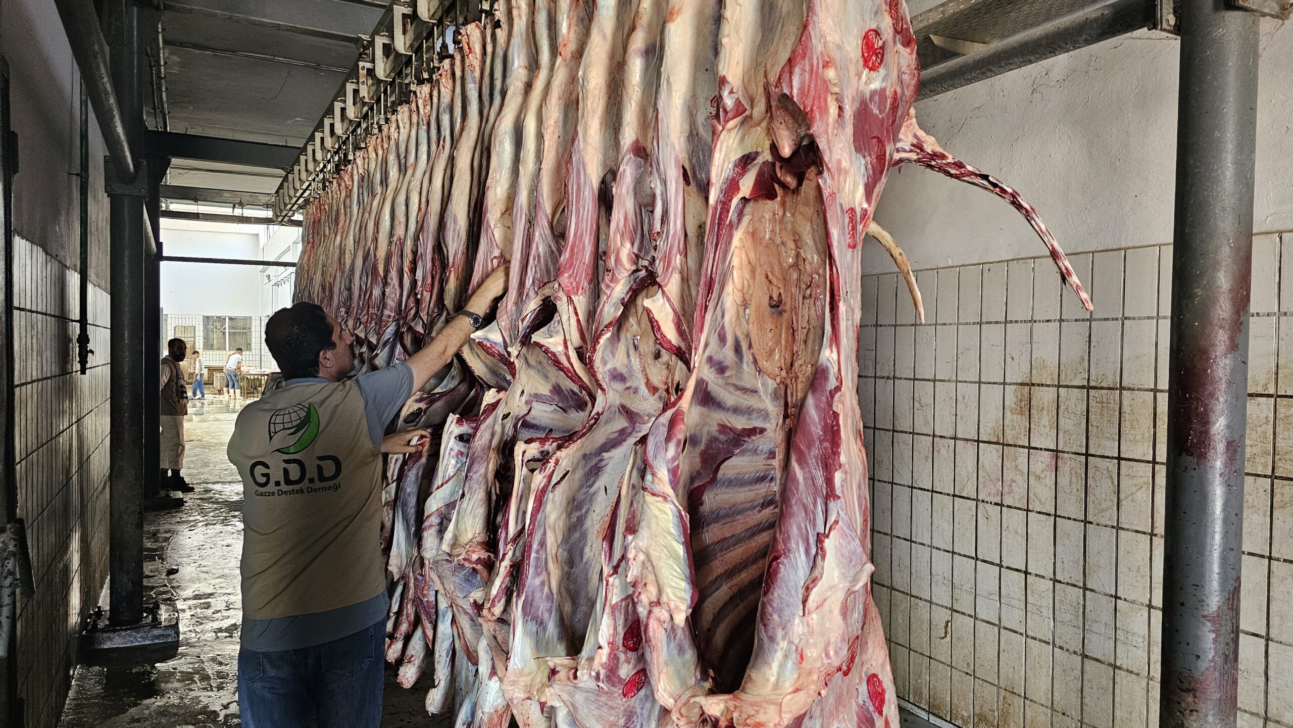 ٢٠٢٥٠٦٠٦_١٠٠٤٥٠(0)