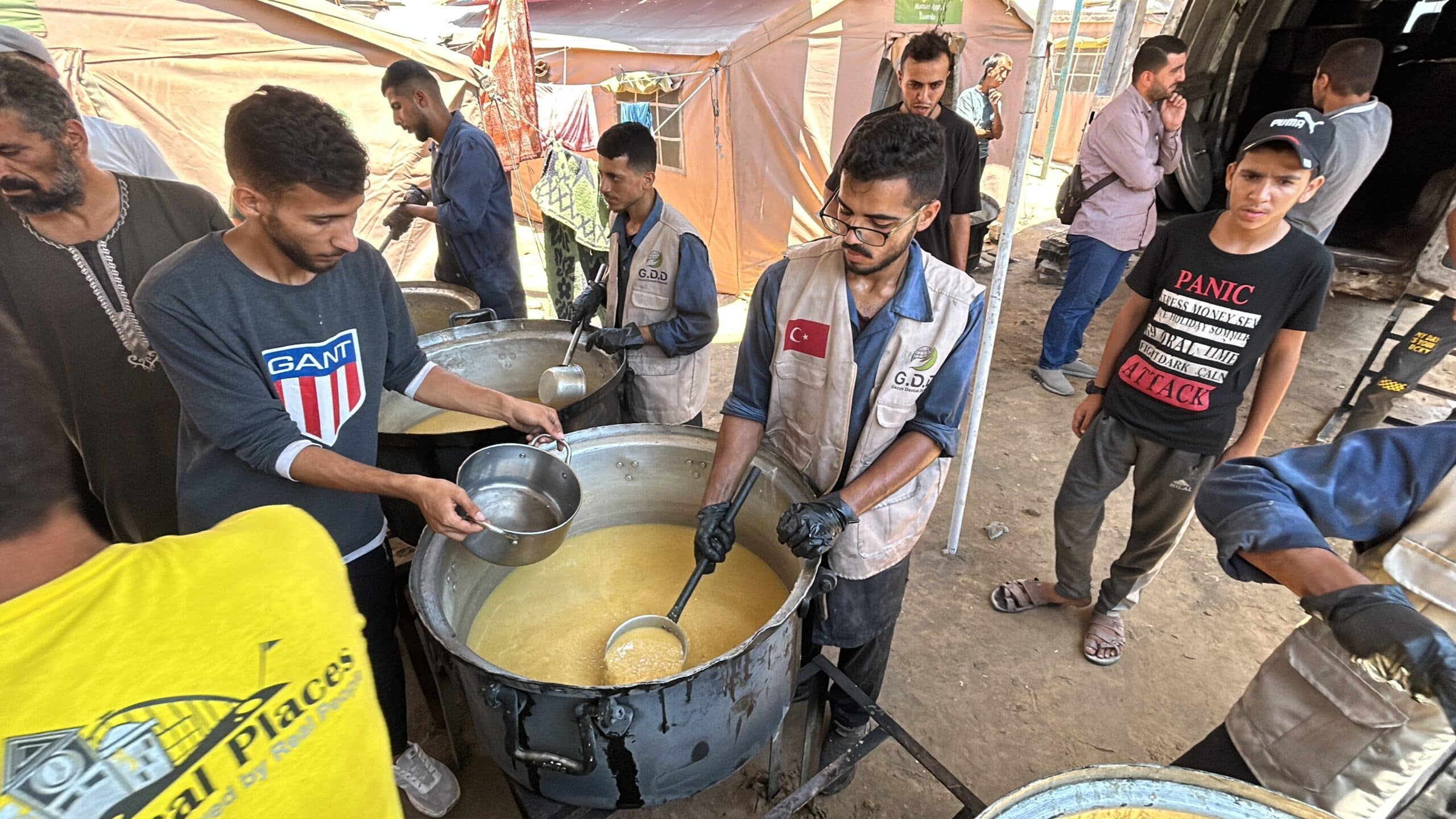 ٢٠٢٥_٠٧_٠٣_١٢_٠٢_IMG_2799